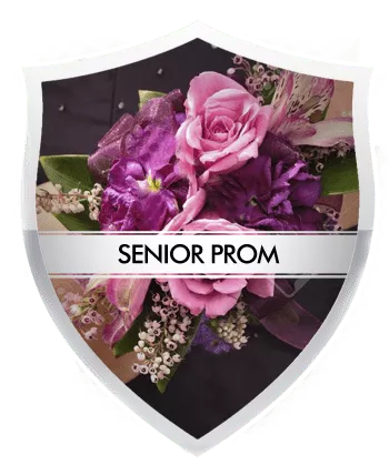 Old Bridge Prom Limo Service